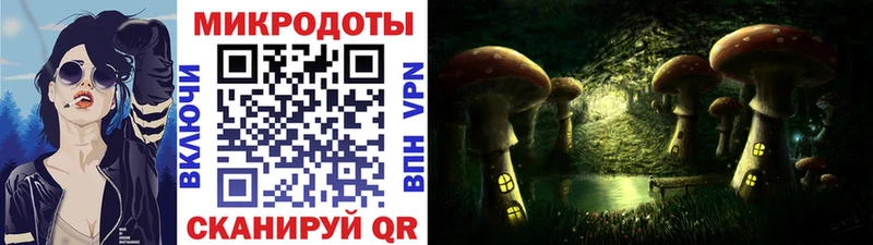 Псилоцибиновые грибы Cubensis  Змеиногорск 